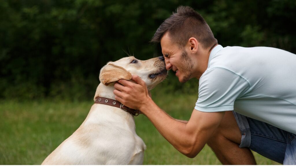 How to Train a Labrador Puppy at HomeHow to Train a Labrador Puppy at Home