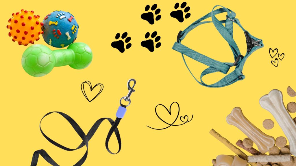 How to Train a Labrador Puppy at Home